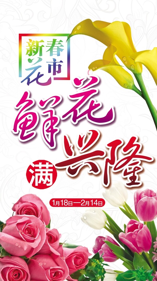 鲜花满兴隆图片