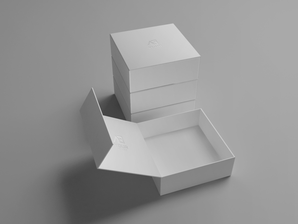 包装纸盒设计效果图
