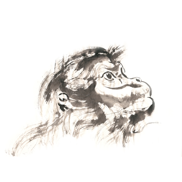 猴子的头部水墨画PNG免抠素材