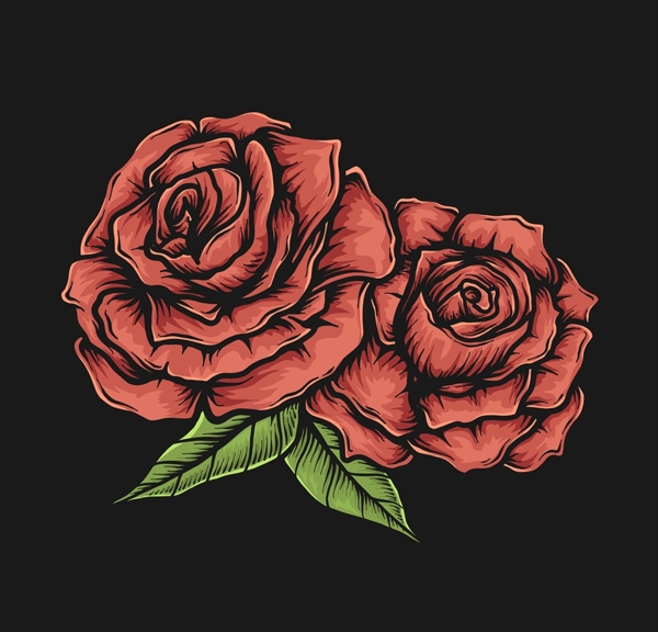 玫瑰插画