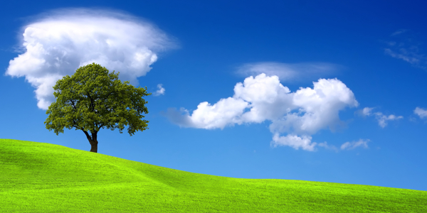 绿色草地蓝天白云图片