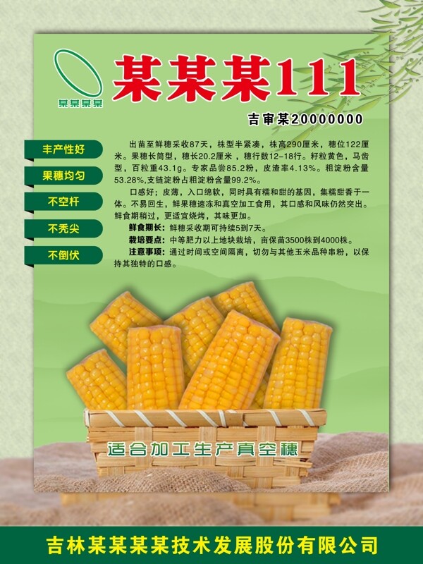 玉米种子宣传页