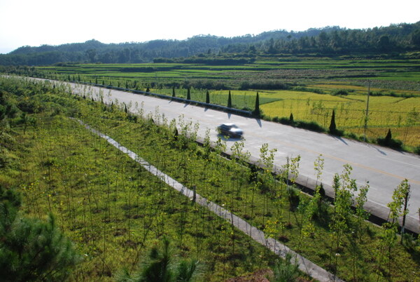 乡村公路边图片素材下