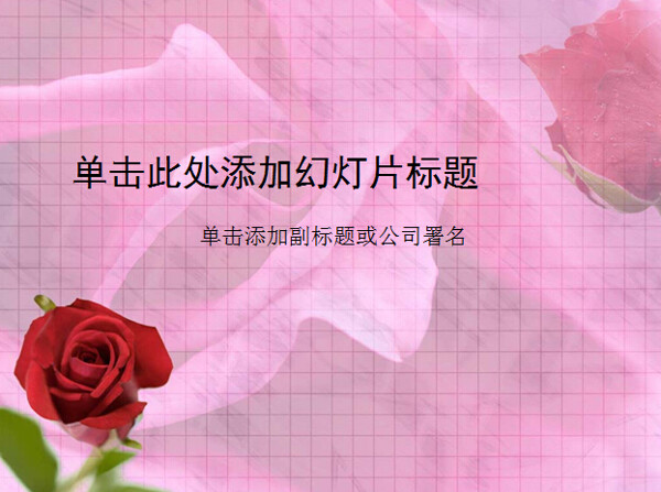 粉红背景的玫瑰花PPT模板