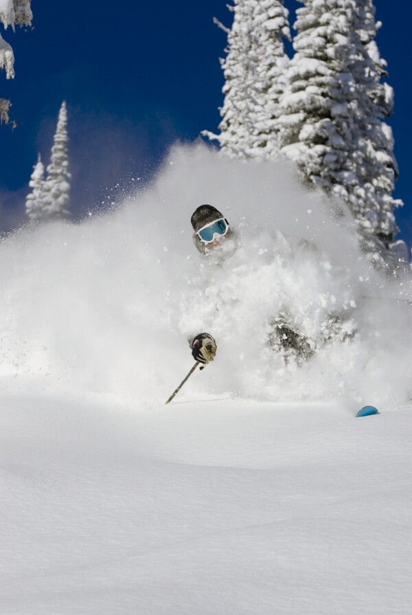 滑雪运动员摄影图片