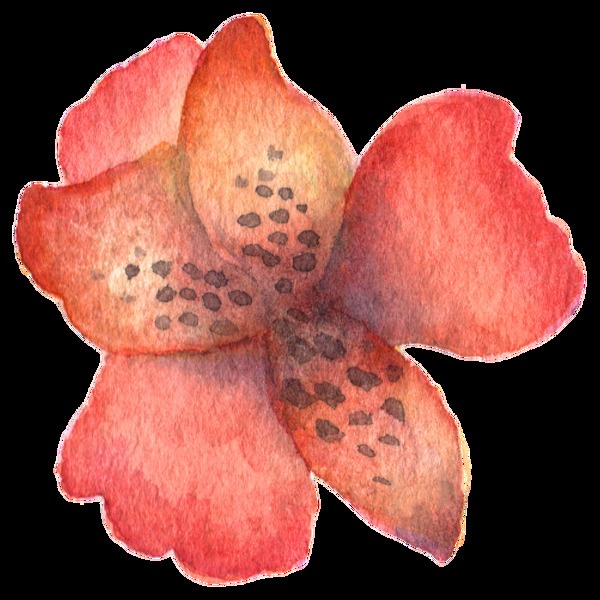 唯美红色花卉卡通水彩透明素材