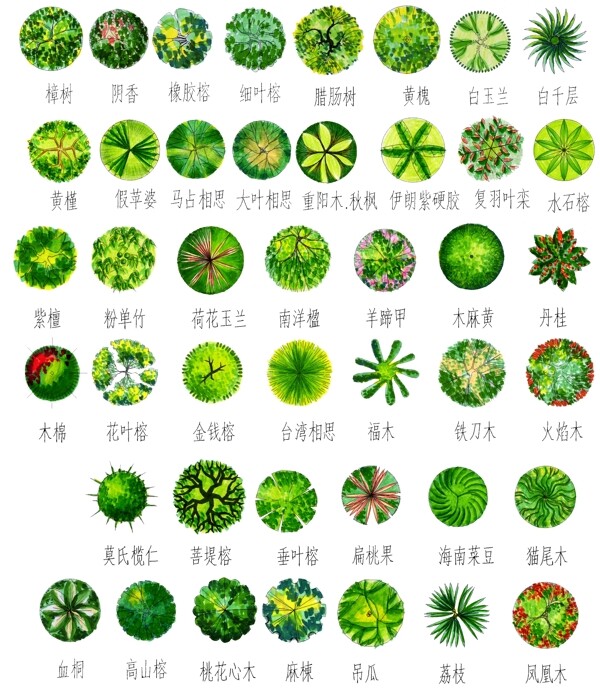 手绘园林用树平面一图片