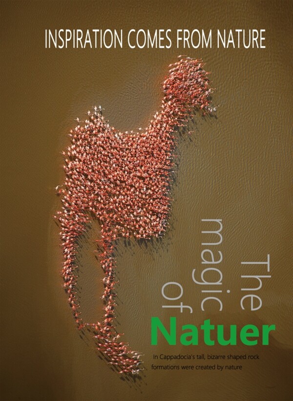 自然宣传画册封面