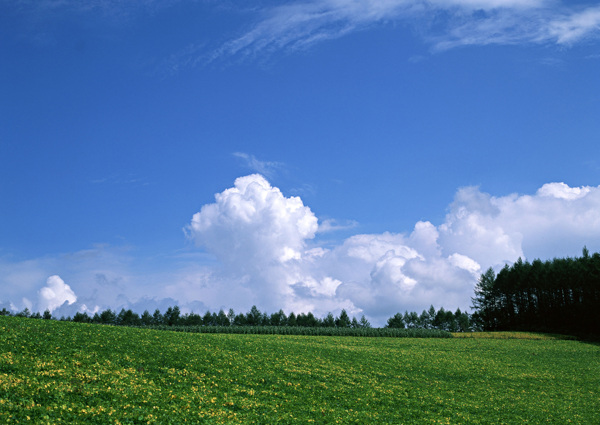 风景