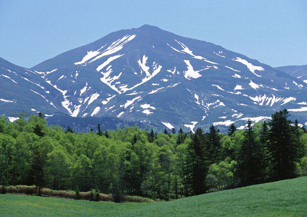 雪山树林