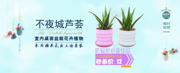 天猫设计绿色植物芦荟促销