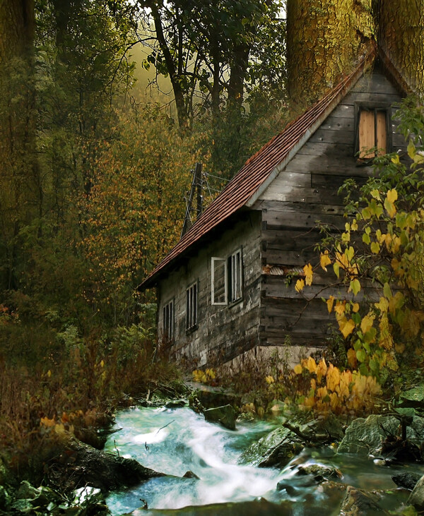 森林中的小木屋图片