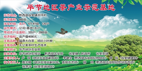 毕节地区茶叶产业化示范基地图片