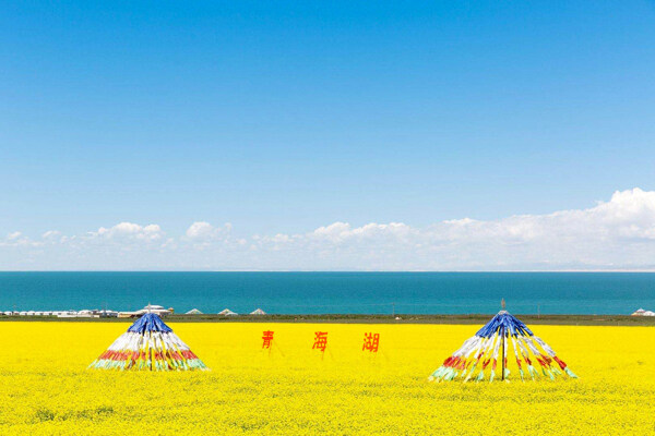 青海湖帐篷花海高原风光图片