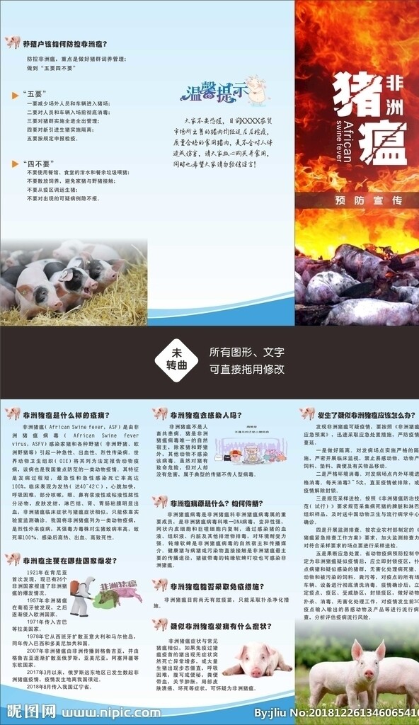 非洲猪瘟宣传折页