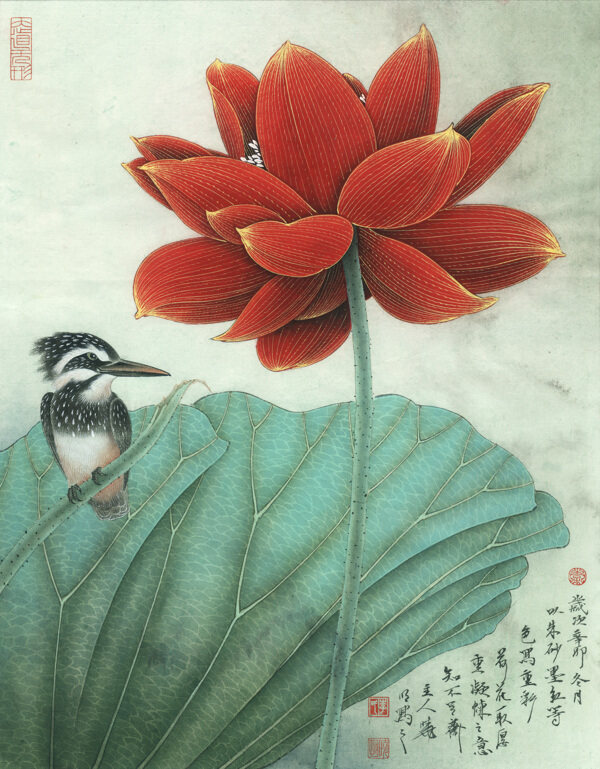 翠鸟红荷图图片