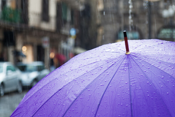 雨中的紫色的伞图片