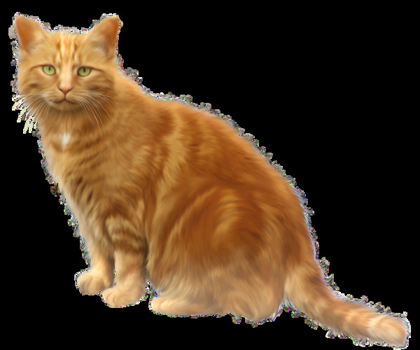 漂亮棕黄色的猫免抠png透明素材