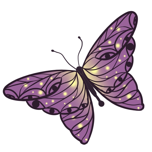 紫黄色蝴蝶