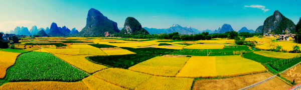 美丽田地山林风景