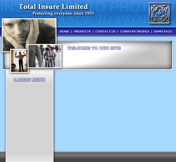 欧美保险公司网页模板