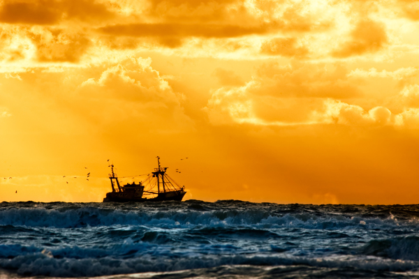 黄昏海面上的渔船摄影图片