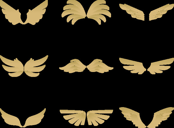 抽象金色翅膀插图免抠png透明图层素材