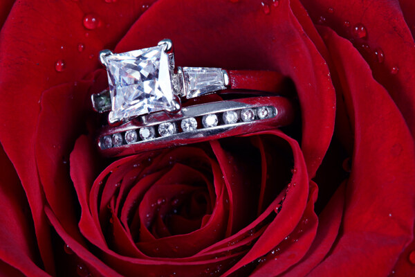 玫瑰花上的戒指