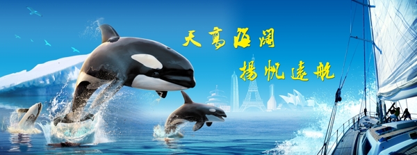 网站banner