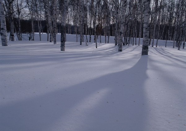 冰天雪地