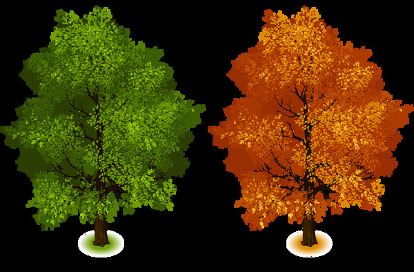 春季秋季大树免抠png透明图层素材