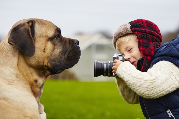 给宠物狗拍照的小男孩图片