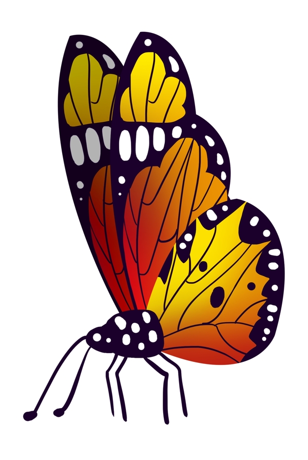 昆虫的蝴蝶装饰插画