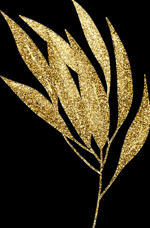 手绘金色叶子PNG透明素材