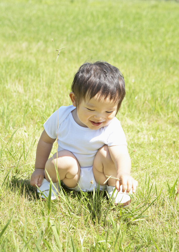 草地上玩耍的可爱宝宝图片