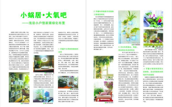 家居绿化杂志排版图片