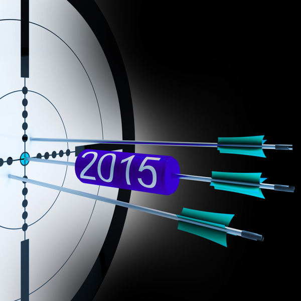 2015个目标显示成功的未来增长