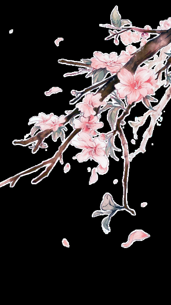 手绘梅花透明装饰素材