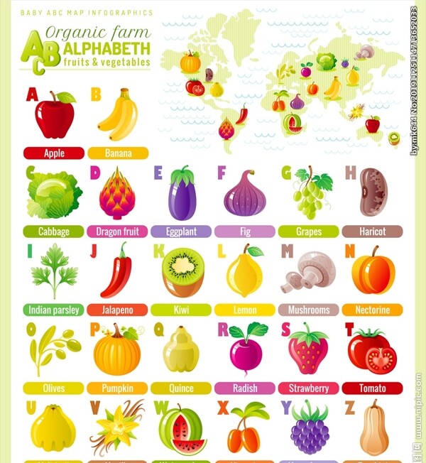 蔬菜水果字母