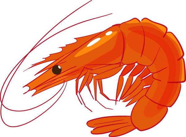 手绘海洋生物虾插画