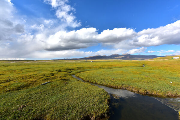 新疆巴音布鲁克草原风景