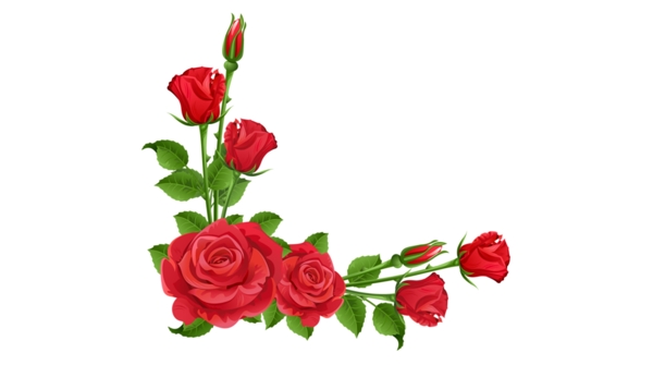鲜花红玫瑰花卉边框免抠psd透明素材
