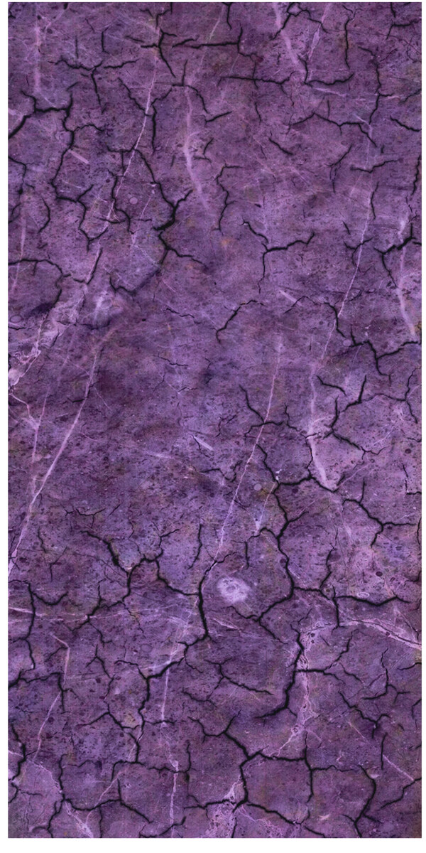 紫色地缝
