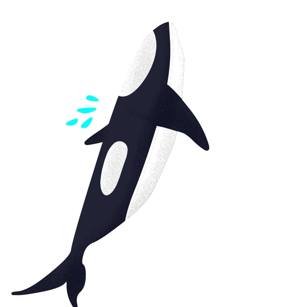 手绘黑色的鲸鱼插画
