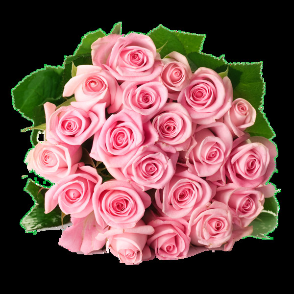 粉色玫瑰花束情人节