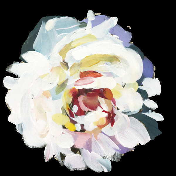 手绘一朵洁白的花png透明素材