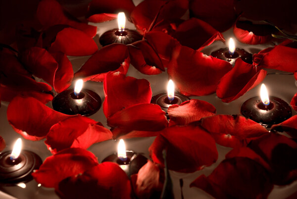 红蜡烛花瓣