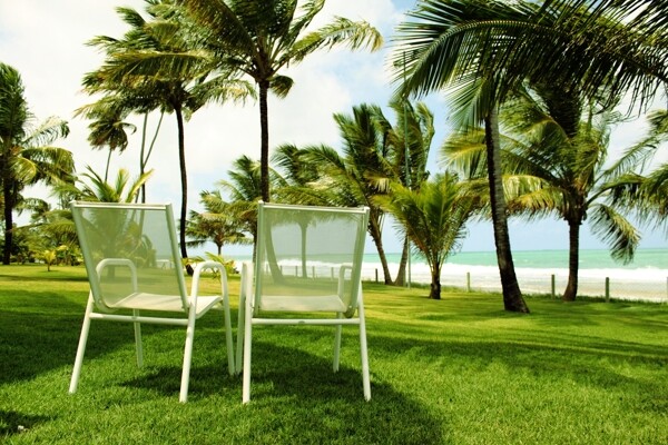 椰树与椅子摄影高清图片