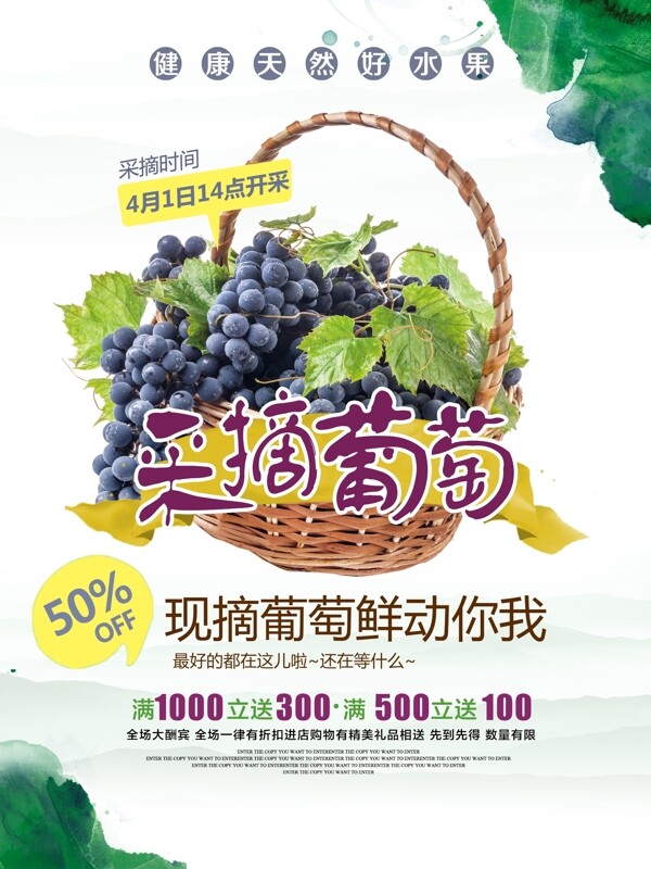 葡萄采摘水果采摘海报宣传单展板展架杨梅