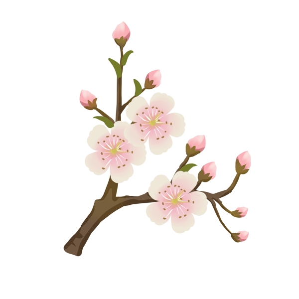 梨花粉色花朵花枝花卉手绘春季装饰简约风